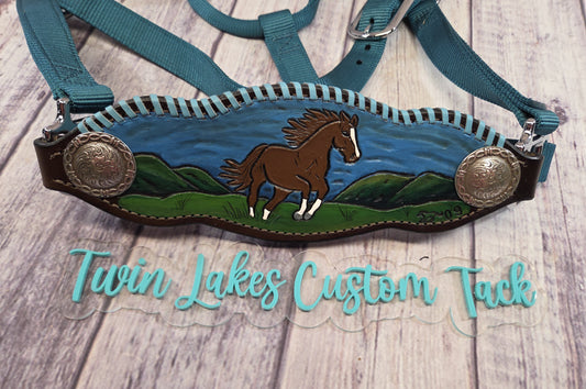 Mustang Collection 09 Sold